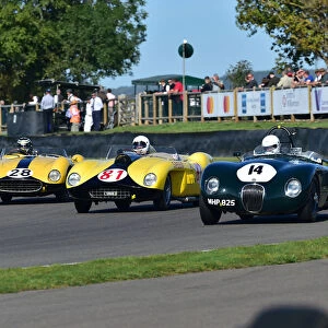 CM29 4781 Nicholas Bert, Jaguar C-Type, Julian Bronson, Ferrari 250 TR, James Cottingham