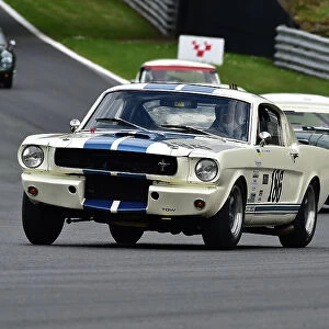 CM33 3596 Jeremy Cooke, Tommy Waterfield, Ford Shelby Mustang GT350
