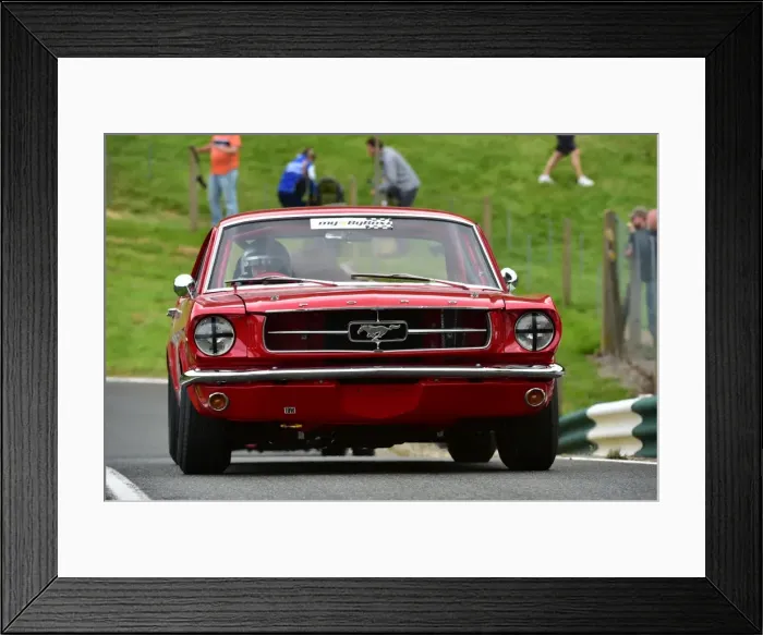 Framed Print : CM3 2476 Warren Briggs, Ford Mustang Framed Print : CM3 2476 Warren Briggs, Ford Mustang