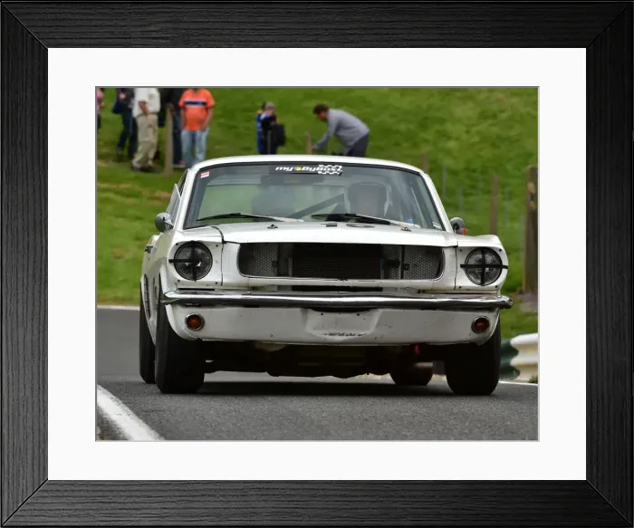 Framed Print : CM3 2485 Mark Watts, Ford Mustang Framed Print : CM3 2485 Mark Watts, Ford Mustang