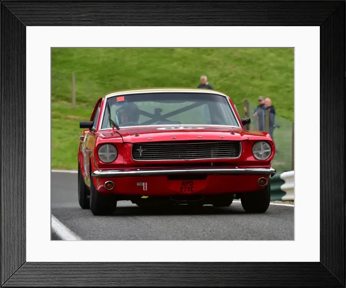 Framed Print : CM3 2496 Neil Brown, Ford Mustang, APO 271 C Framed Print : CM3 2496 Neil Brown, Ford Mustang, APO 271 C