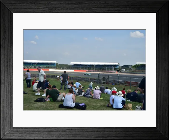 Framed Print : CM3 8359 watching from Copse Framed Print : CM3 8359 watching from Copse