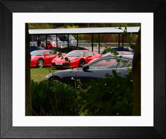 Framed Print : CM5 3378 Ferraris under the trees Framed Print : CM5 3378 Ferraris under the trees