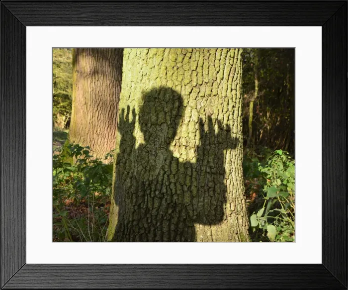 Framed Print : CJ5 6643 Spooky tree Framed Print : CJ5 6643 Spooky tree