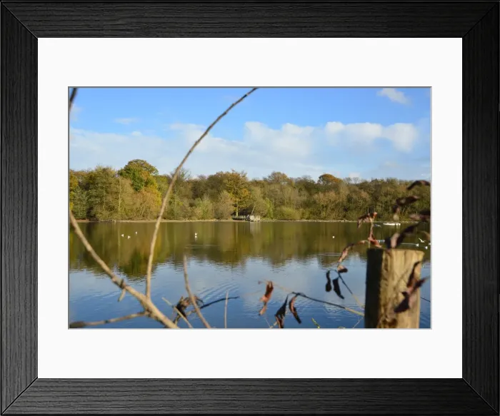 Framed Print : CJ5 6661 View across the lake Framed Print : CJ5 6661 View across the lake