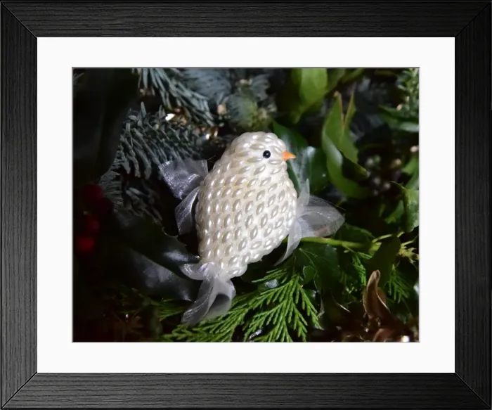 Framed Print : CM5 8200 bird decoration Framed Print : CM5 8200 bird decoration