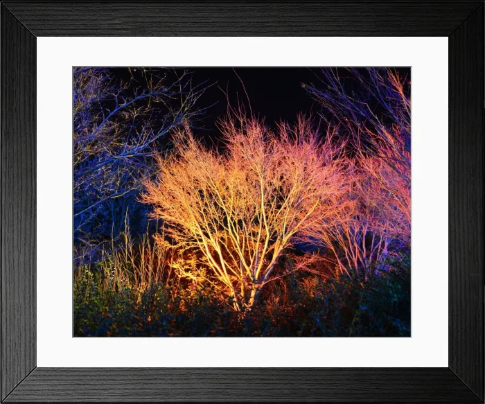Framed Print : CJ5 6687 Multicoloured Framed Print : CJ5 6687 Multicoloured