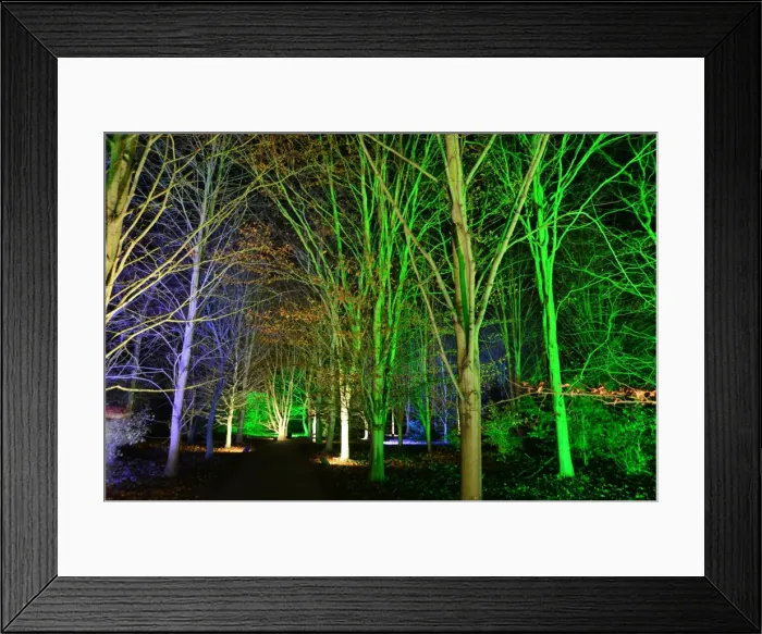 Framed Print : CJ5 6702 Through the woods Framed Print : CJ5 6702 Through the woods