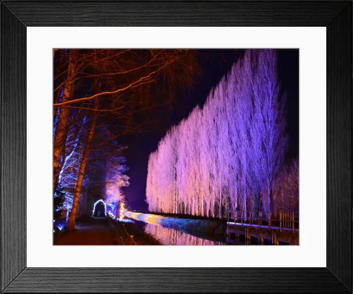 Framed Print : CJ5 6712 Along the lode Framed Print : CJ5 6712 Along the lode