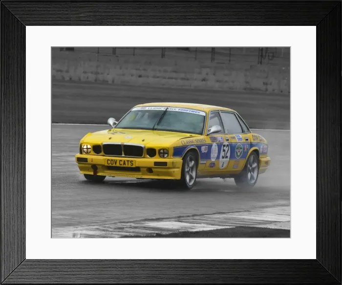 Framed Print : CM5 7146 Bright yellow cat Framed Print : CM5 7146 Bright yellow cat