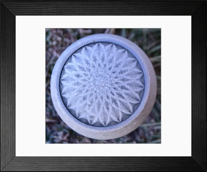 Framed Print : CJ5 6782 Morning frost Framed Print : CJ5 6782 Morning frost