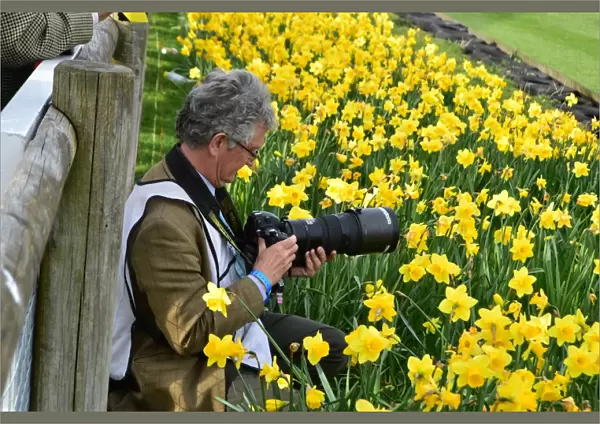 CM1 2908 Jeff Bloxham, daffodils