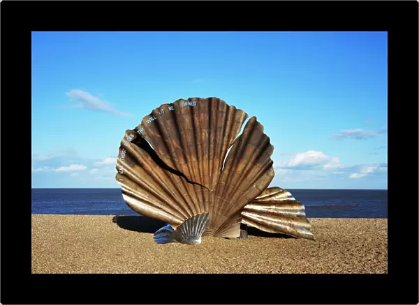 DSC1925 Scallop shell sculpture