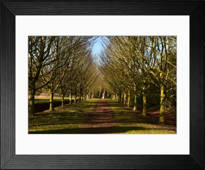 Framed Print : CM5 8956 Urn at the end of the path Framed Print : CM5 8956 Urn at the end of the path