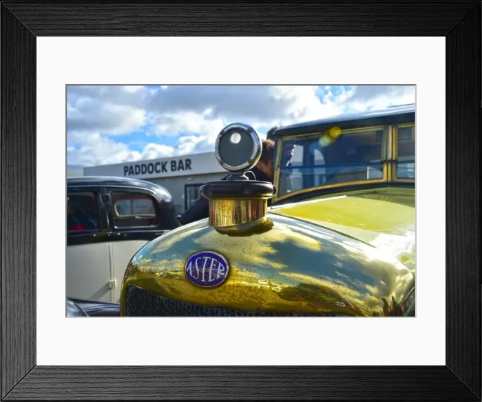 Framed Print : CM6 0624 Aster Framed Print : CM6 0624 Aster