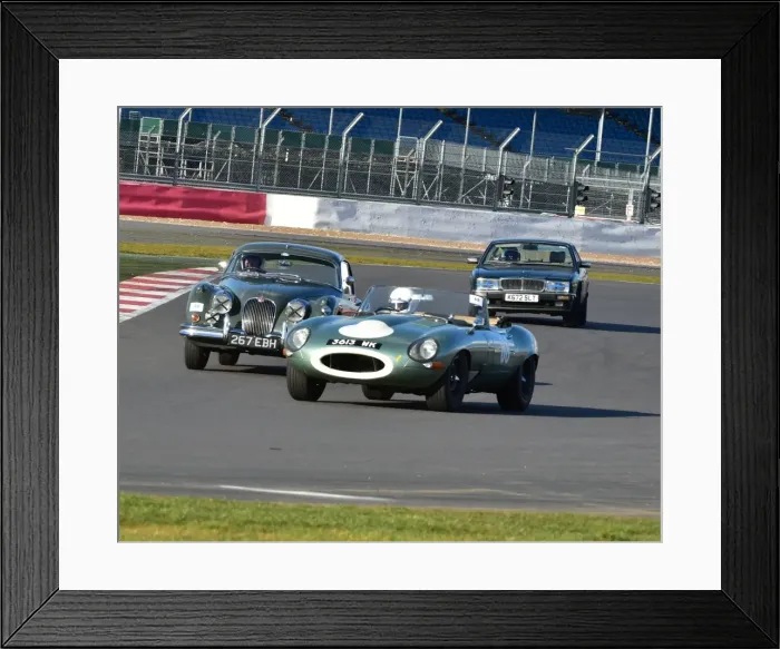 Framed Print : CM6 0903 A trio of Jags Framed Print : CM6 0903 A trio of Jags