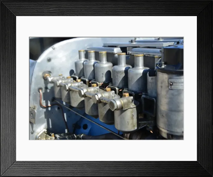 Framed Print : CJ5 7205 Simon Stokes, Riley Treen Framed Print : CJ5 7205 Simon Stokes, Riley Treen