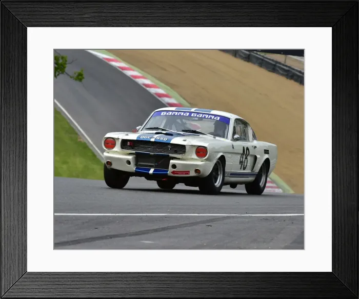 Framed Print : CM7 8496 Frans van Maarschalkerwaart, Shelby Mustang GT350 Framed Print : CM7 8496 Frans van Maarschalkerwaart, Shelby Mustang GT350
