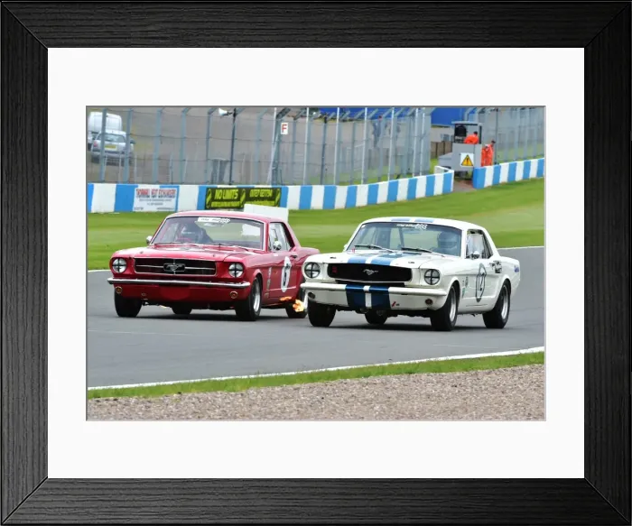 Framed Print : CM8 1354 Warren Briggs, Ford Mustang, Greg Thornton, Ford Mustang Framed Print : CM8 1354 Warren Briggs, Ford Mustang, Greg Thornton, Ford Mustang