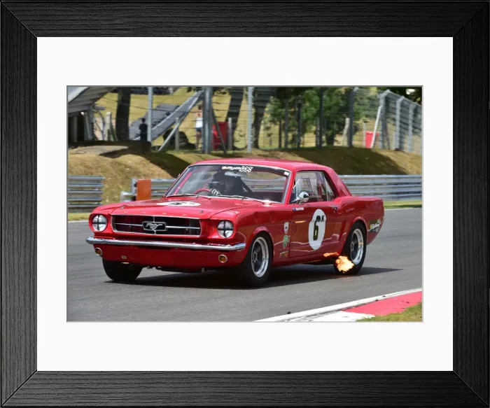 Framed Print : CM9 0893 Warren Briggs, Ford Mustang Framed Print : CM9 0893 Warren Briggs, Ford Mustang
