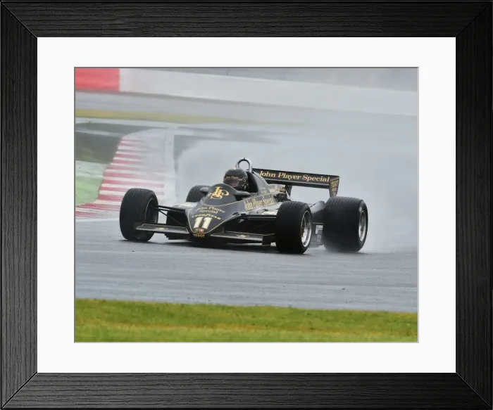 Framed Print : CM9 5820 Greg Thornton, Lotus 91-5 Framed Print : CM9 5820 Greg Thornton, Lotus 91-5