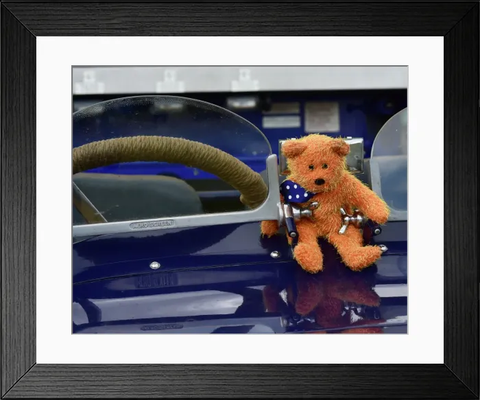 Framed Print : CM9 4639 mascot Framed Print : CM9 4639 mascot