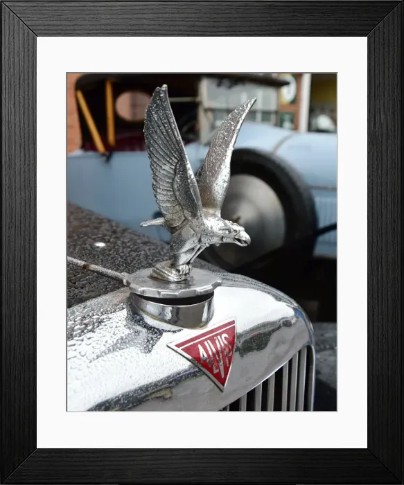 Framed Print : CM11 7302 Alvis radiator mascot Framed Print : CM11 7302 Alvis radiator mascot