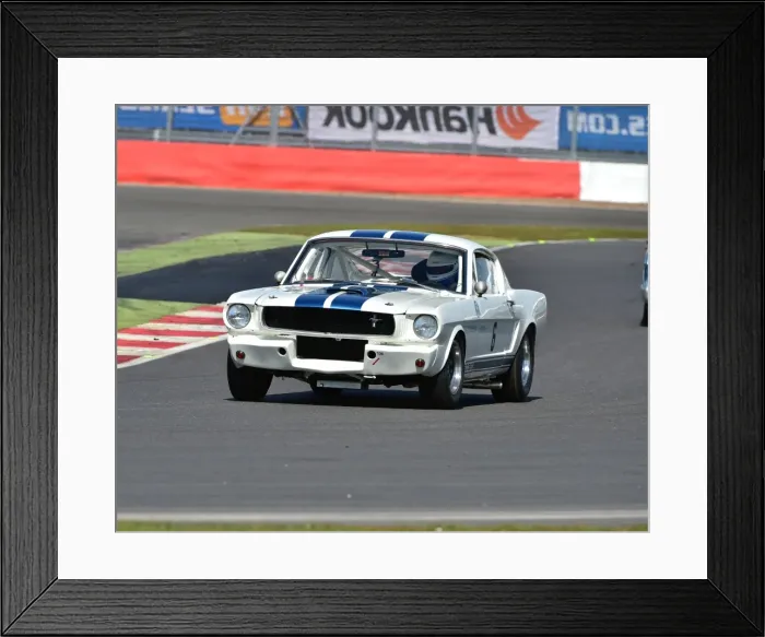 Framed Print : CM12 4947 Stuart Lawson, Ford Shelby Mustang GT350 Framed Print : CM12 4947 Stuart Lawson, Ford Shelby Mustang GT350