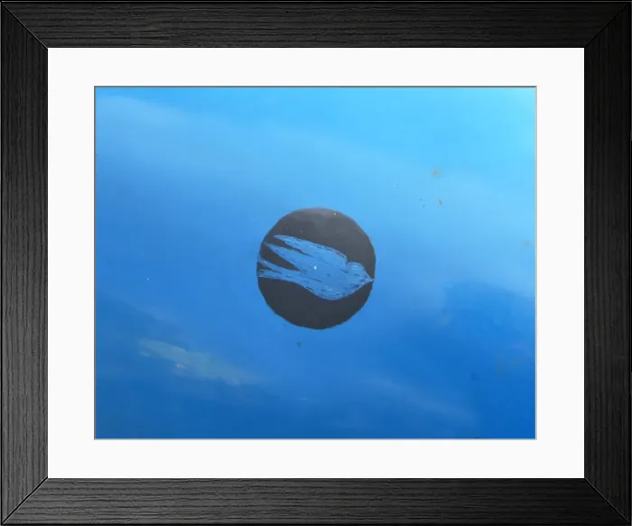 Framed Print : CJ6 4846 Bluebird Framed Print : CJ6 4846 Bluebird