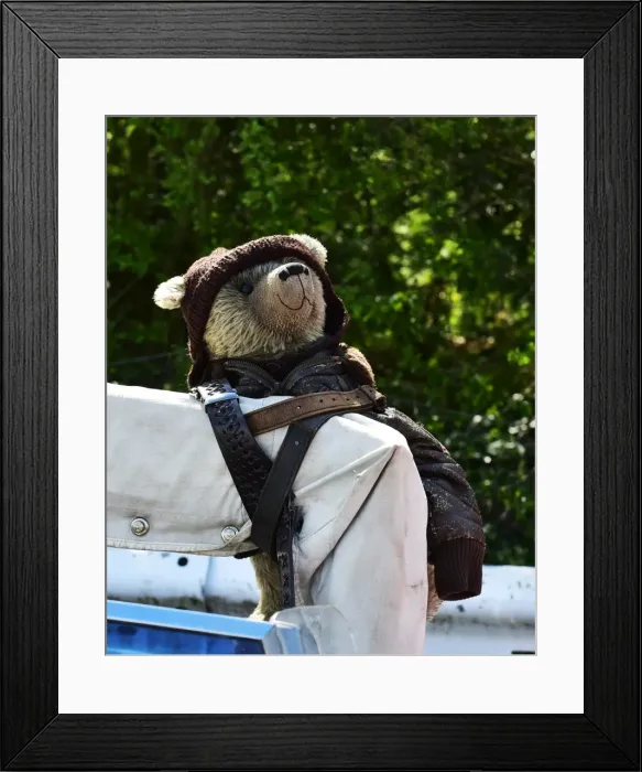 Framed Print : CM12 9981 Rally bear-2 Framed Print : CM12 9981 Rally bear-2