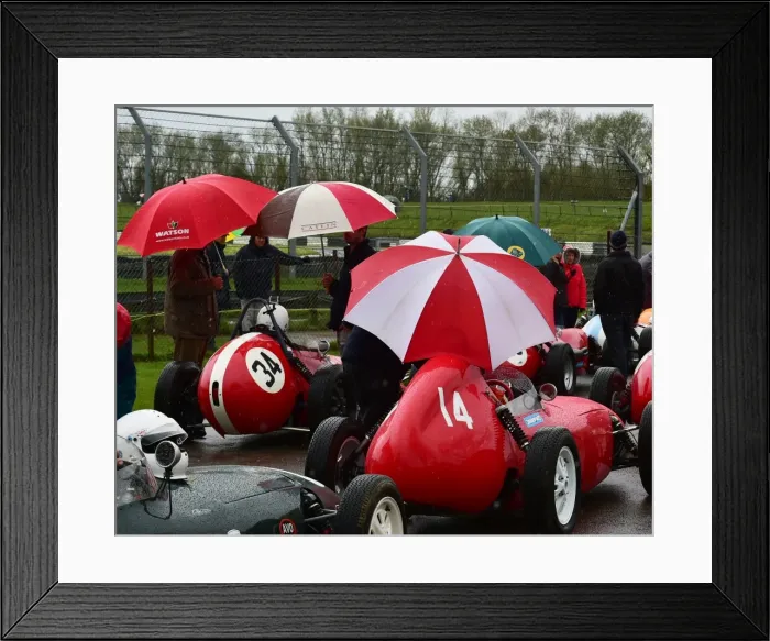 Framed Print : CM12 5690 Brollies up Framed Print : CM12 5690 Brollies up