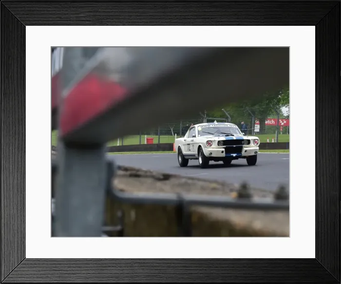 Framed Print : CM13 3991 Harmen van Putten, Shelby Mustang Framed Print : CM13 3991 Harmen van Putten, Shelby Mustang