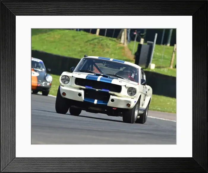 Framed Print : CM13 4864 Paul Chase-Gardener, David Allen, Ford Shelby Mustang GT350 Framed Print : CM13 4864 Paul Chase-Gardener, David Allen, Ford Shelby Mustang GT350