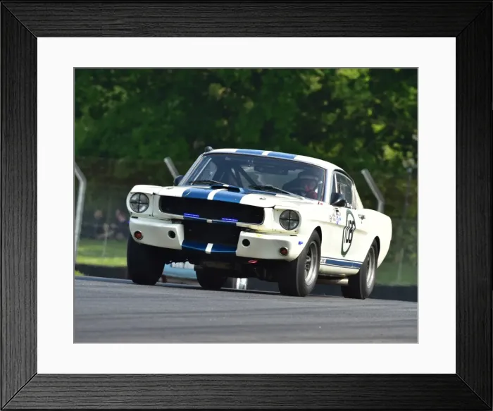Framed Print : CM13 4901 Paul Chase-Gardener, David Allen, Ford Shelby Mustang GT350 Framed Print : CM13 4901 Paul Chase-Gardener, David Allen, Ford Shelby Mustang GT350