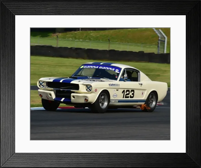 Framed Print : CM13 5100 Marcel van Laarhoven, Shelby Mustang