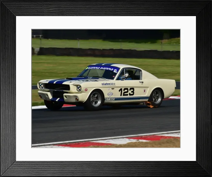 Framed Print : CM13 5115 Marcel van Laarhoven, Shelby Mustang Framed Print : CM13 5115 Marcel van Laarhoven, Shelby Mustang
