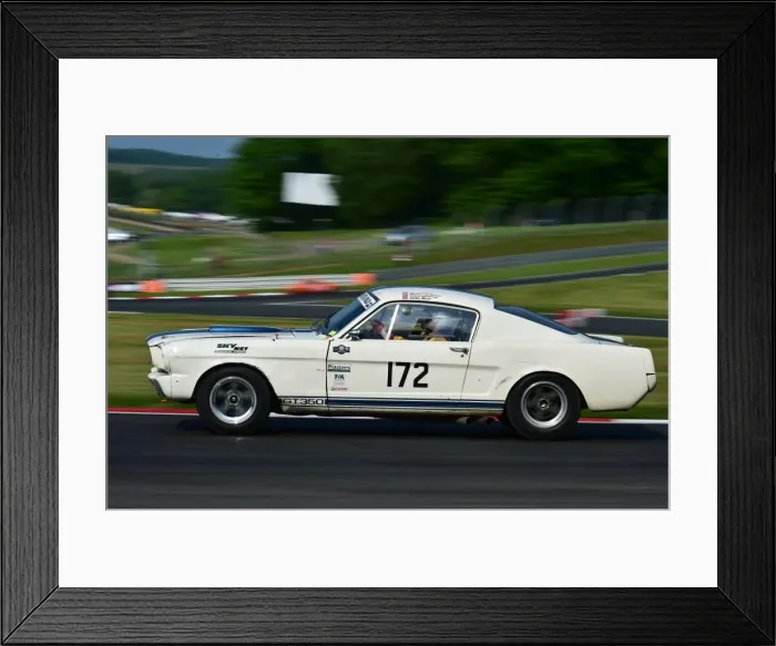 Framed Print : CM13 5118 Harmen van Putten, Shelby Mustang Framed Print : CM13 5118 Harmen van Putten, Shelby Mustang