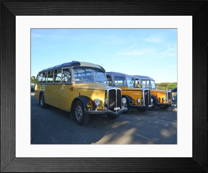 Framed Print : CJ6 5626 Vintage buses Framed Print : CJ6 5626 Vintage buses
