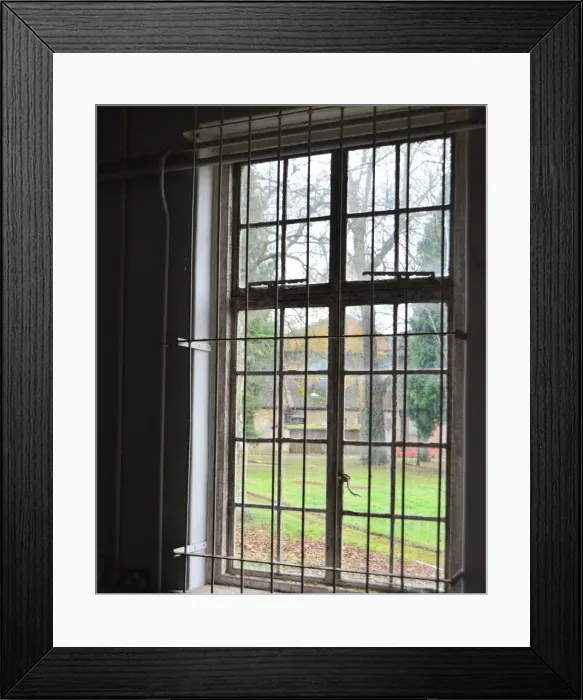 Framed Print : CJ6 6881 the view out Framed Print : CJ6 6881 the view out