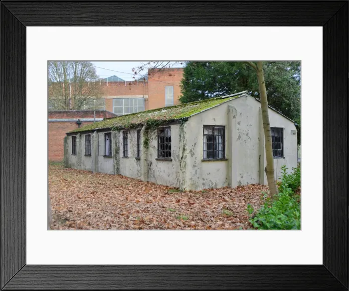 Framed Print : CJ6 6876 work in progress Framed Print : CJ6 6876 work in progress