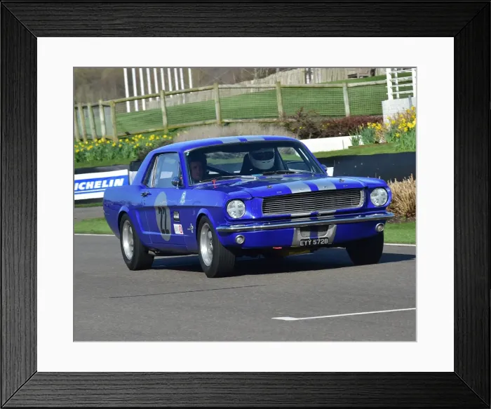 Framed Print : CM17 8857 Michael Squire, Ford Mustang Framed Print : CM17 8857 Michael Squire, Ford Mustang