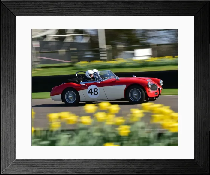 Framed Print : CM17 8604 Paul Auston, David Smithies, Austin Healey 3000 Mk3 Framed Print : CM17 8604 Paul Auston, David Smithies, Austin Healey 3000 Mk3