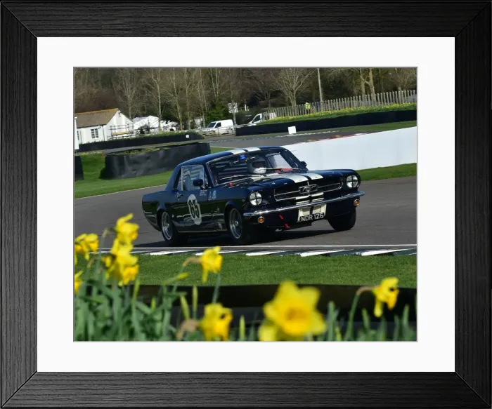 Framed Print : CM17 8786 Nick Ruddell, Ford Mustang Framed Print : CM17 8786 Nick Ruddell, Ford Mustang