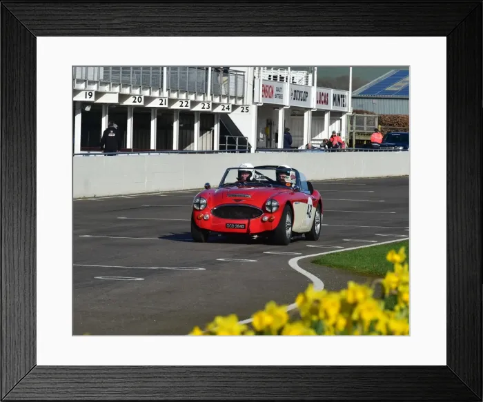 Framed Print : CM17 8372 Paul Auston, David Smithies, Austin Healey 3000 Mk3 Framed Print : CM17 8372 Paul Auston, David Smithies, Austin Healey 3000 Mk3