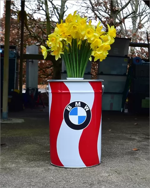 CM18 0356 BMW Daffodils