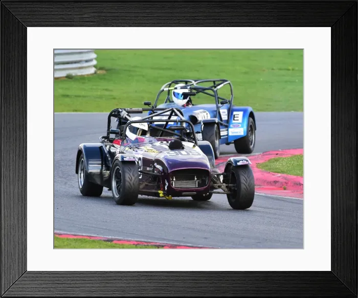 Framed Print : CM18 3898 Philip Horne, Caterham Blackbird Framed Print : CM18 3898 Philip Horne, Caterham Blackbird