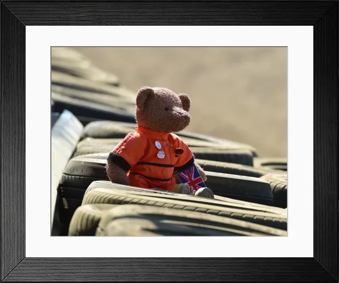 Framed Print : CM18 5991 BMMC, Marshall Bear, Wilson Framed Print : CM18 5991 BMMC, Marshall Bear, Wilson