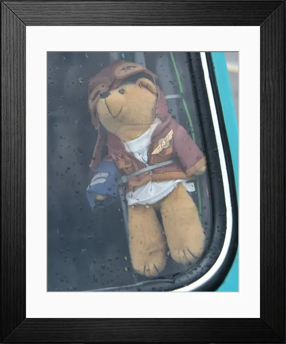 Framed Print : CM19 1734 747 Bear Framed Print : CM19 1734 747 Bear