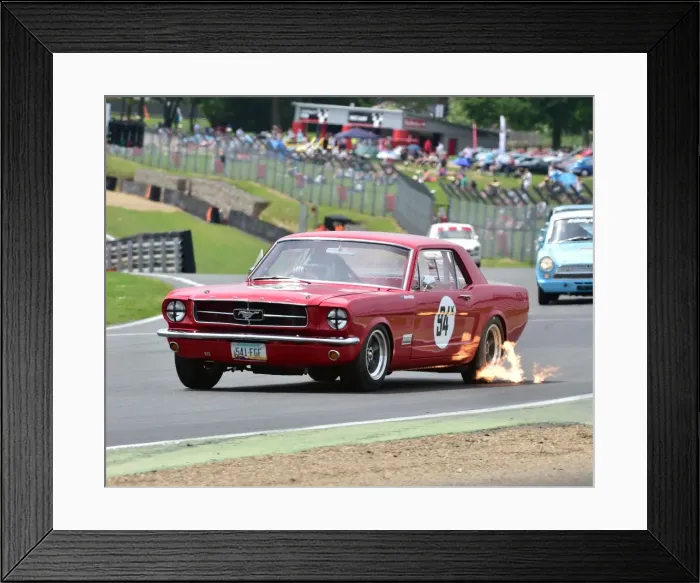 Framed Print : CM19 5287 Warren Briggs, Ford Mustang Framed Print : CM19 5287 Warren Briggs, Ford Mustang