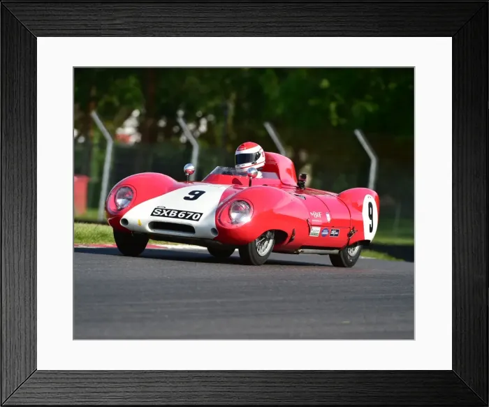 Framed Print : CM19 4959 Serge Kriknoff, Lotus XI Framed Print : CM19 4959 Serge Kriknoff, Lotus XI